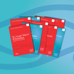 Indeginising spaces cover images