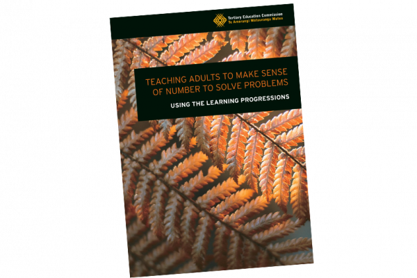 Learning progressions make sense of number