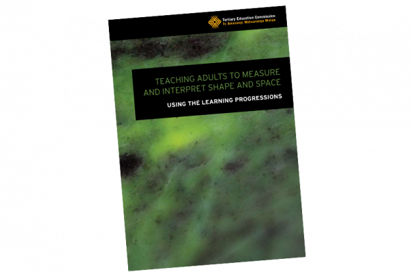 Learning progressions measure and interpret shape and space