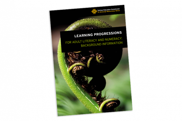 Learning progressions numeracy background