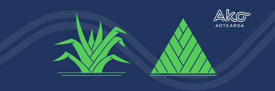 Tapatoru Educator Pathway